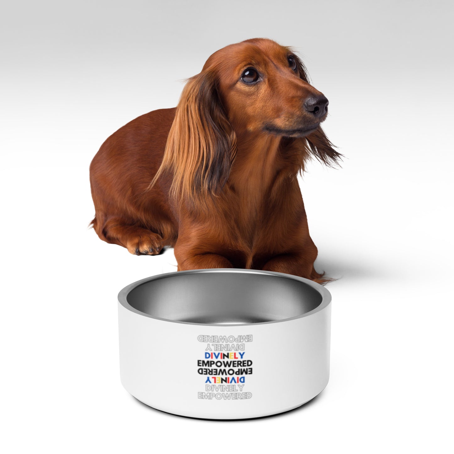 "Divinely Empowered" Pet bowl
