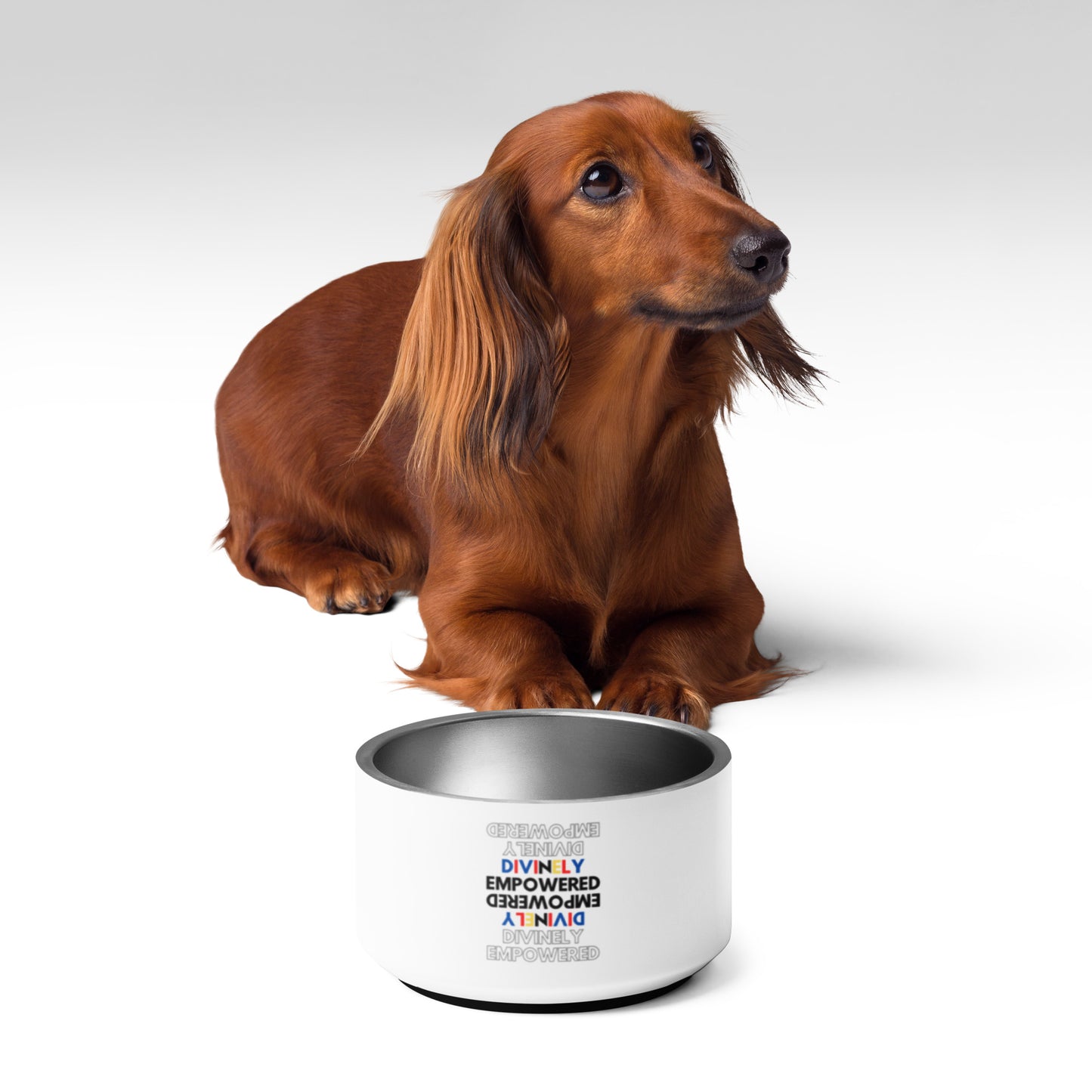 "Divinely Empowered" Pet bowl