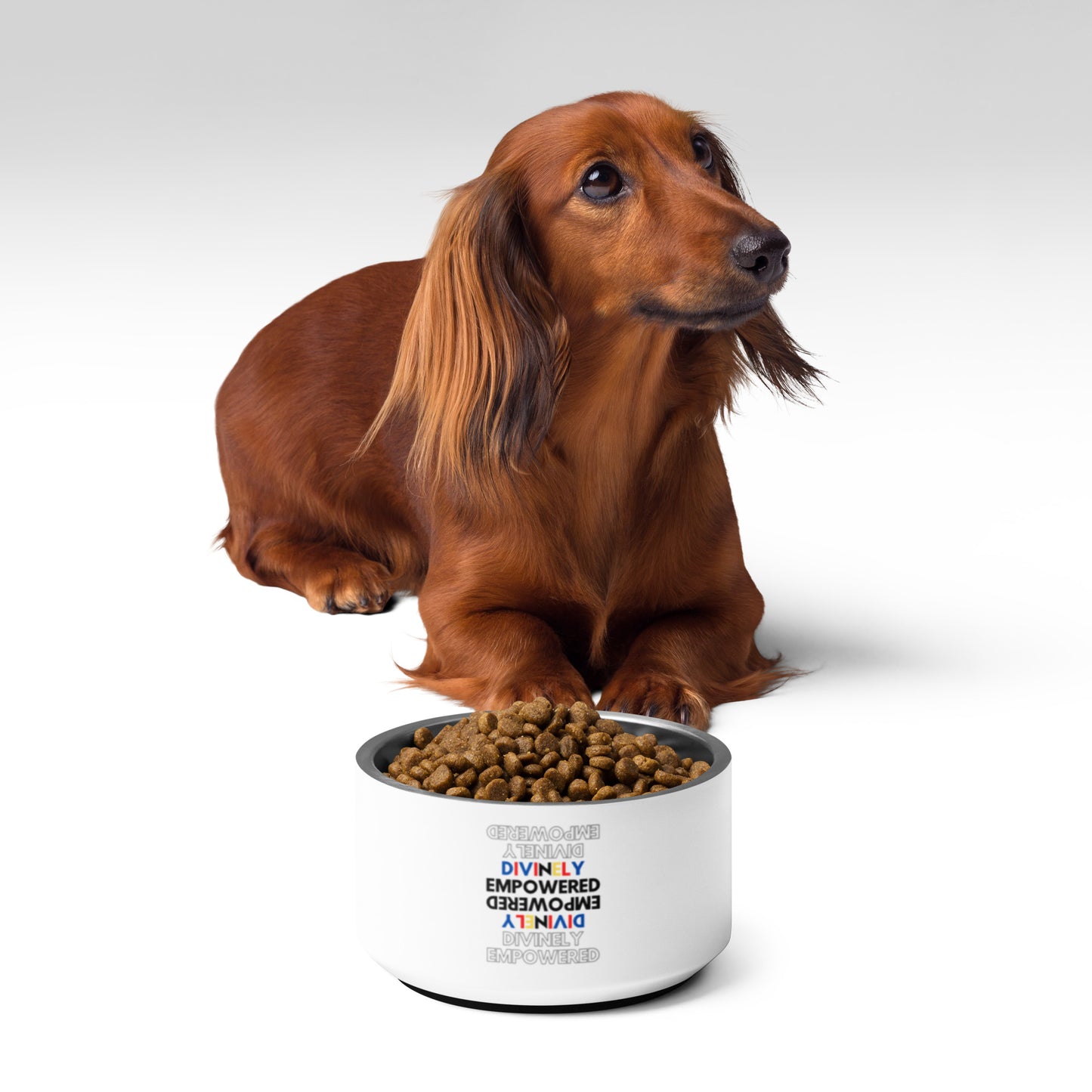 "Divinely Empowered" Pet bowl