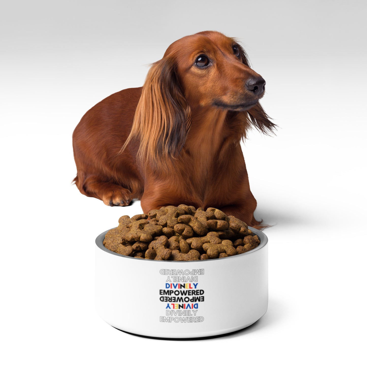 "Divinely Empowered" Pet bowl